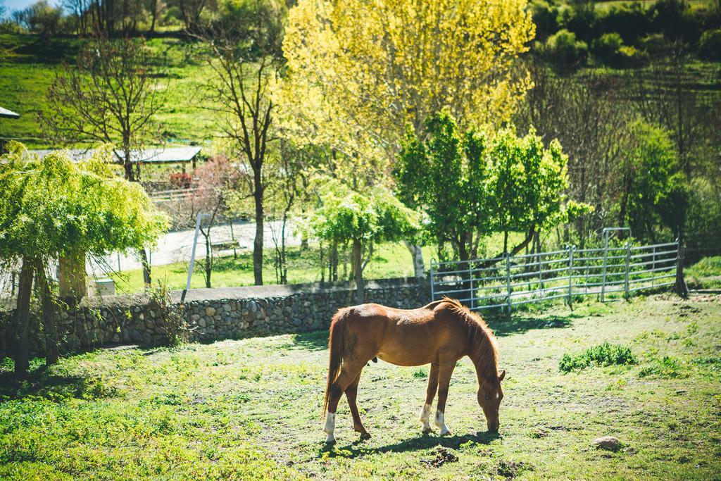 Intrepid Hotel Rural - Adults Only Pi Esterno foto